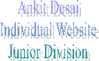 Ankit Desai
Individual Website
Junior Division